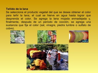 Teñido de la lana
Se selecciona el producto vegetal del que se desea obtener el color
para teñir la lana, el cual se hierve en agua hasta lograr que
desprenda el color. Se agrega la lana mojada enmadejada y,
finalmente, después de un período de cocción, se agrega una
sustancia que fija el color (sal, vinagre, piedra lumbre o sulfato de
cobre).
 