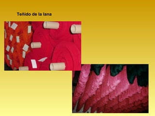 Teñido de la lana
 
