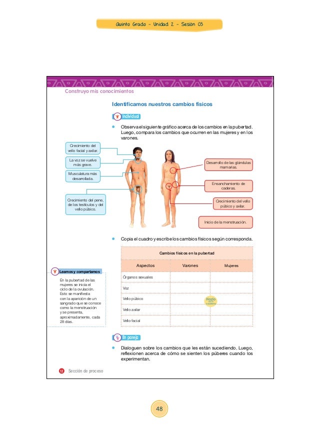 Unidad 2 sesiones Quinto Grado