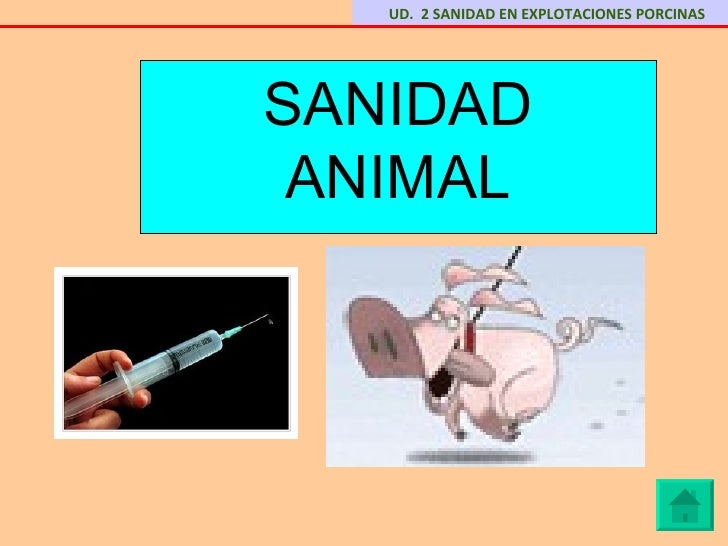 Unidad 2 sanidad animal