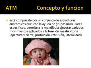  está compuesta por un conjunto de estructuras
anatómicas que, con la ayuda de grupos musculares
específicos, permite a la mandíbula ejecutar variados
movimientos aplicados a la función masticatoria
(apertura y cierre, protrusión, retrusión, lateralidad).
 