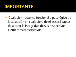 Cualquier trastorno funcional o patológico de
localización en cualquiera de ellas será capaz
de alterar la integridad de sus respectivos
elementos constitutivos.
 