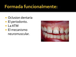  Oclusion dentaria
 El periodonto.
 La ATM
 El mecanismo
neuromuscular.
 