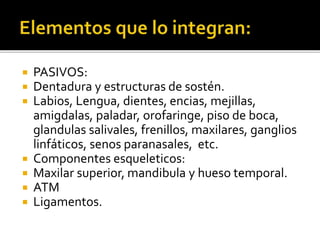 PASIVOS:
 Dentadura y estructuras de sostén.
 Labios, Lengua, dientes, encias, mejillas,
amigdalas, paladar, orofaringe, piso de boca,
glandulas salivales, frenillos, maxilares, ganglios
linfáticos, senos paranasales, etc.
 Componentes esqueleticos:
 Maxilar superior, mandibula y hueso temporal.
 ATM
 Ligamentos.
 