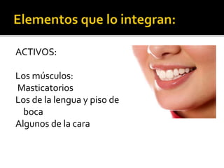 ACTIVOS:
Los músculos:
Masticatorios
Los de la lengua y piso de
boca
Algunos de la cara
 