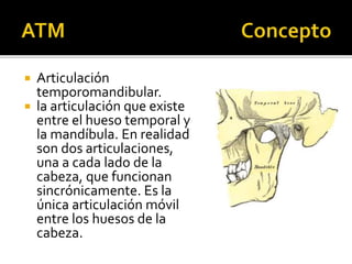  Articulación
temporomandibular.
 la articulación que existe
entre el hueso temporal y
la mandíbula. En realidad
son dos articulaciones,
una a cada lado de la
cabeza, que funcionan
sincrónicamente. Es la
única articulación móvil
entre los huesos de la
cabeza.
 