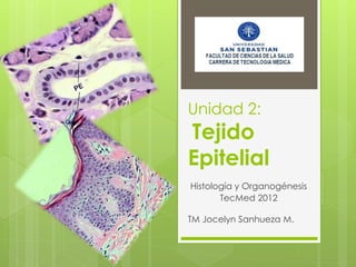 Unidad 2:
Tejido
Epitelial
Histología y Organogénesis
       TecMed 2012

TM Jocelyn Sanhueza M.
 