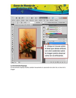 La herramienta Esponja
La herramienta esponja facilita cambiar tenuemente la saturación de color de un área de la
imagen
 