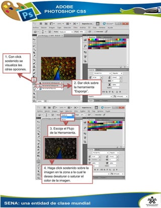 1. Con click
sostenido se
visualiza las
otras opciones.
2. Dar click sobre
la herramienta
“Esponja”.
3. Escoja el Flujo
de la Herramienta.
4. Haga click sostenido sobre la
imagen en la zona a la cual le
desea desaturar o saturar el
color de la imagen.
 
