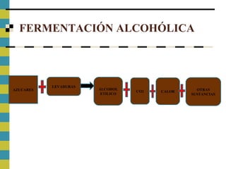FERMENTACIÓN ALCOHÓLICA
AZUCARES
LEVADURAS
ALCOHOL
ETILICO
CO2 CALOR OTRAS
SUSTANCIAS
 