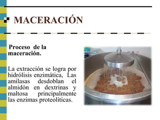 MACERACIÓN
Proceso de la
maceración.
La extracción se logra por
hidrólisis enzimática, Las
amilasas desdoblan el
almidón en dextrinas y
maltosa principalmente
las enzimas proteolíticas.
 