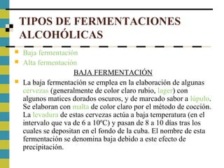 TIPOS DE FERMENTACIONES
ALCOHÓLICAS
 Baja fermentación
 Alta fermentación
BAJA FERMENTACIÓN
 La baja fermentación se emplea en la elaboración de algunas
cervezas (generalmente de color claro rubio, lager) con
algunos matices dorados oscuros, y de marcado sabor a lúpulo.
Se elaboran con malta de color claro por el método de cocción.
La levadura de estas cervezas actúa a baja temperatura (en el
intervalo que va de 6 a 10ºC) y pasan de 8 a 10 días tras los
cuales se depositan en el fondo de la cuba. El nombre de esta
fermentación se denomina baja debido a este efecto de
precipitación.
 