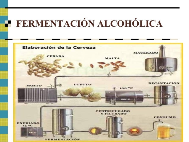 tema 2 fermentación alcohólica
