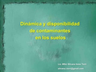 Dinámica y disponibilidad
    de contaminantes
      en los suelos




               Lic. MSci Silvana Irene Torri

               silvana.i.torri@gmail.com
 