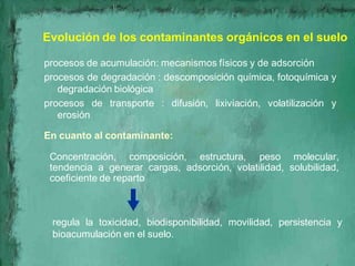 Evolución de los contaminantes orgánicos en el suelo

procesos de acumulación: mecanismos físicos y de adsorción
procesos ...