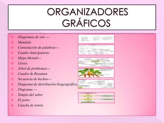    Diagramas de ven ---
   Mándala
   Constelación de palabras---
   Cuadro Anticipatorio
   Mapa Mental---
   Llaves
   Árbol de problemas---
   Cuadro de Resumen
   Secuencia de hechos---
   Diagrama de distribución biogeográfica
   Flugrama ---
   Templo del saber
   El peine
   Cancha de tennis
 