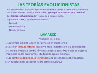 LAS TEORÍAS EVOLUCIONISTAS
•    Las pruebas de la evolución demuestran que las especies actuales derivan de otras
     anteriores al sufrir cambios. Pero ¿cómo y por qué se producen esos cambios?
•    Las teorías evolucionistas dan respuesta a esta pregunta.
•    A partir del s. XIX, 3 teorías evolucionistas:
      -Lamarck
      -Darwin-Wallace
      -Neodarwinismo

                                      LAMARCK
                                    Principios del s. XIX
    1.Las formas simples surgen por generación espontánea.
    2.Existe un impulso interior instintivo hacia la perfección y la complejidad.
    3.El medio ambiente cambia nuevas necesidades cambios en órganos
    cambios en los organismos. «La función crea al órgano».
    4.Los cambios adquiridos se transmiten a la descendencia (heredables).
    5.En generaciones sucesivas habrá cambio evolutivo.
 