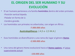 EL ORIGEN DEL SER HUMANO Y SU
                    EVOLUCIÓN
• El ser humano pertenece a la familia homínidos dentro del orden primates.
  -Posición vertical bípeda.
  -Paladar en forma de U.
  -Cerebro grande.
• Los homínidos son primates no arborícolas, con origen en África .
                             -7.000.000 años
                   Australopithecus (-4,5 a -2,5 M.A.)

• Esos homínidos se diversificaron y una rama dio lugar al género Homo.
                              -2.500.000 años

• Una rama del género Homo evolucionó hacia el Homo sapiens, el único
  superviviente actual.
                            -150.000 años
 