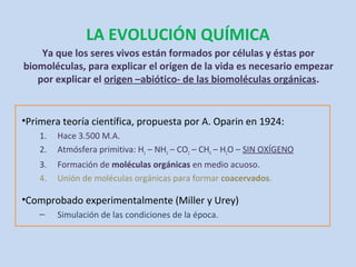 LA EVOLUCIÓN QUÍMICA
    Ya que los seres vivos están formados por células y éstas por
biomoléculas, para explicar el origen de la vida es necesario empezar
   por explicar el origen –abiótico- de las biomoléculas orgánicas.


•Primera teoría científica, propuesta por A. Oparin en 1924:
    1.   Hace 3.500 M.A.
    2.   Atmósfera primitiva: H2 – NH3 – CO2 – CH4 – H2O – SIN OXÍGENO
    3.   Formación de moléculas orgánicas en medio acuoso.
    4.   Unión de moléculas orgánicas para formar coacervados.

•Comprobado experimentalmente (Miller y Urey)
    –    Simulación de las condiciones de la época.
 