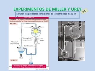 EXPERIMENTOS DE MILLER Y UREY                                    952
                                                                1
 Simulan las probables condiciones de la Tierra hace 3.500 M.
 A.
 
