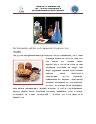 UNIVERSIDAD TÉCNICA DE MACHALA
DIRECCIÓN DE NIVELACIÓN Y ADMISIÓN
SISTEMA NACIONAL DE NIVELACIÓN Y ADMISIÓN
Las biocompuestos orgánicas pueden agruparse en cinco grandes tipos:
Glúcidos
Los glúcidos (impropiamente llamados hidratos de carbono o carbohidratos) son la fuente
de energía primaria que utilizan los seres vivos
para realizar sus funciones vitales;
la glucosa está al principio de una de las rutas
metabólicas productoras de energía más
antigua, la glucólisis, usada en todos los niveles
evolutivos, desde las bacterias a
los vertebrados. Muchos organismos,
especialmente los vegetales (algas, plantas)
almacenan sus reservas en forma de almidón,
en cambio los animales forman el glucógeno,
entre ellos se diferencia por la cantidad y el número de ramificaciones de la glucosa.
Algunos glúcidos forman importantes estructuras esqueléticas, como la celulosa,
constituyente de la pared celular vegetal, o la quitina, que forma la cutícula de
losartrópodos.
 