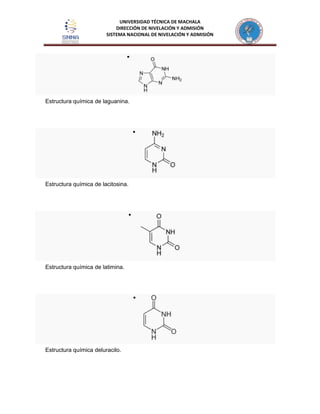 UNIVERSIDAD TÉCNICA DE MACHALA
DIRECCIÓN DE NIVELACIÓN Y ADMISIÓN
SISTEMA NACIONAL DE NIVELACIÓN Y ADMISIÓN
Estructura química de laguanina.
Estructura química de lacitosina.
Estructura química de latimina.
Estructura química deluracilo.
 