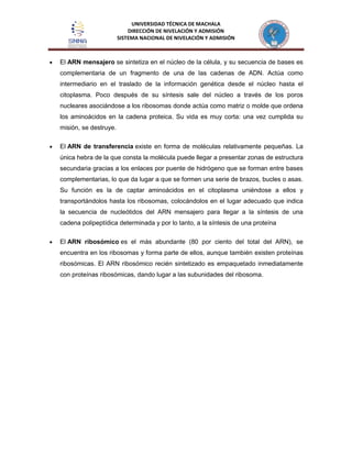 UNIVERSIDAD TÉCNICA DE MACHALA
DIRECCIÓN DE NIVELACIÓN Y ADMISIÓN
SISTEMA NACIONAL DE NIVELACIÓN Y ADMISIÓN
El ARN mensajero se sintetiza en el núcleo de la célula, y su secuencia de bases es
complementaria de un fragmento de una de las cadenas de ADN. Actúa como
intermediario en el traslado de la información genética desde el núcleo hasta el
citoplasma. Poco después de su síntesis sale del núcleo a través de los poros
nucleares asociándose a los ribosomas donde actúa como matriz o molde que ordena
los aminoácidos en la cadena proteica. Su vida es muy corta: una vez cumplida su
misión, se destruye.
El ARN de transferencia existe en forma de moléculas relativamente pequeñas. La
única hebra de la que consta la molécula puede llegar a presentar zonas de estructura
secundaria gracias a los enlaces por puente de hidrógeno que se forman entre bases
complementarias, lo que da lugar a que se formen una serie de brazos, bucles o asas.
Su función es la de captar aminoácidos en el citoplasma uniéndose a ellos y
transportándolos hasta los ribosomas, colocándolos en el lugar adecuado que indica
la secuencia de nucleótidos del ARN mensajero para llegar a la síntesis de una
cadena polipeptídica determinada y por lo tanto, a la síntesis de una proteína
El ARN ribosómico es el más abundante (80 por ciento del total del ARN), se
encuentra en los ribosomas y forma parte de ellos, aunque también existen proteínas
ribosómicas. El ARN ribosómico recién sintetizado es empaquetado inmediatamente
con proteínas ribosómicas, dando lugar a las subunidades del ribosoma.
 