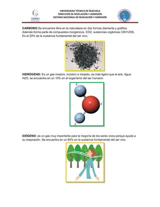UNIVERSIDAD TÉCNICA DE MACHALA
DIRECCIÓN DE NIVELACIÓN Y ADMISIÓN
SISTEMA NACIONAL DE NIVELACIÓN Y ADMISIÓN
CARBONO:Se encuentra libre en la naturaleza en dos formas diamante y grafitos.
Además forma parte de compuestos inorgánicos. CO2, sustancias orgánicas C6H12O6,
Es el 20% de la sustancia fundamental del ser vivo.
HIDRÓGENO: Es un gas inodoro, incoloro e insípido, es más ligero que el aire. Agua
H2O, se encuentra en un 10% en el organismo del ser humano.
OXÍGENO: es un gas muy importante para la mayoría de los seres vivos porque ayuda a
su respiración. Se encuentra en un 65% en la sustancia fundamental del ser vivo.
 