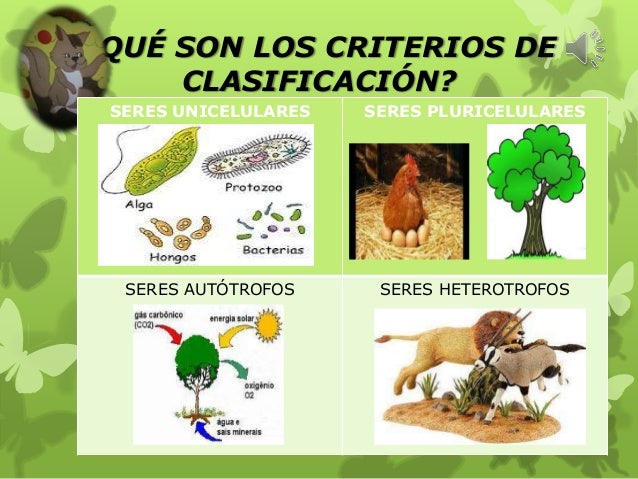 LOS SERES VIVOS