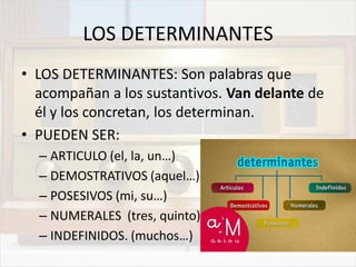 LOS DETERMINANTES
• LOS DETERMINANTES: Son palabras que
acompañan a los sustantivos. Van delante de
él y los concretan, los determinan.
• PUEDEN SER:
– ARTICULO (el, la, un…)
– DEMOSTRATIVOS (aquel…)
– POSESIVOS (mi, su…)
– NUMERALES (tres, quinto)
– INDEFINIDOS. (muchos…)
 