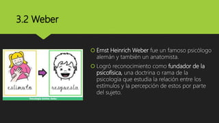 3.2 Weber
 Ernst Heinrich Weber fue un famoso psicólogo
alemán y también un anatomista.
 Logró reconocimiento como fundador de la
psicofísica, una doctrina o rama de la
psicología que estudia la relación entre los
estímulos y la percepción de estos por parte
del sujeto.
 