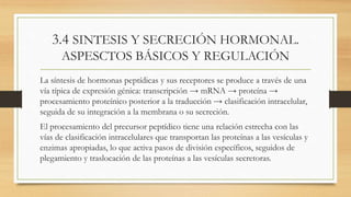 3.4 SINTESIS Y SECRECIÓN HORMONAL.
ASPESCTOS BÁSICOS Y REGULACIÓN
La síntesis de hormonas peptídicas y sus receptores se produce a través de una
vía típica de expresión génica: transcripción → mRNA → proteína →
procesamiento proteínico posterior a la traducción → clasificación intracelular,
seguida de su integración a la membrana o su secreción.
El procesamiento del precursor peptídico tiene una relación estrecha con las
vías de clasificación intracelulares que transportan las proteínas a las vesículas y
enzimas apropiadas, lo que activa pasos de división específicos, seguidos de
plegamiento y traslocación de las proteínas a las vesículas secretoras.
 