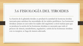 3.6 FISIOLOGÍA DEL TIROIDES
La función de la glándula tiroides es producir la cantidad de hormona tiroidea
necesaria para satisfacer las necesidades de los tejidos periféricos. Las hormonas
tiroideas actúan en casi todos los tejidos del organismo a nivel nuclear para que
se produzca la acción de las hormonas tiroideas es necesario que todo el
proceso de síntesis, metabolismo, regulación y unión de las hormonas tiroideas
con su receptor, se haga de manera adecuada.
 