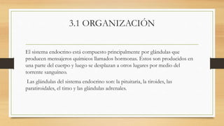 3.1 ORGANIZACIÓN
El sistema endocrino está compuesto principalmente por glándulas que
producen mensajeros químicos llamados hormonas. Éstos son producidos en
una parte del cuerpo y luego se desplazan a otros lugares por medio del
torrente sanguíneo.
Las glándulas del sistema endocrino son: la pituitaria, la tiroides, las
paratiroidales, el timo y las glándulas adrenales.
 