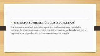 • 4/ EFECTOS SOBRE EL MÚSCULO ESQUELÉTICO
La función normal del músculo esquelético también requiere cantidades
óptimas de hormona tiroidea. Estos requisitos pueden guardar relación con la
regulación de la producción y el almacenamiento de energía.
 