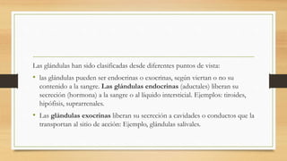 Las glándulas han sido clasificadas desde diferentes puntos de vista:
• las glándulas pueden ser endocrinas o exocrinas, según viertan o no su
contenido a la sangre. Las glándulas endocrinas (aductales) liberan su
secreción (hormona) a la sangre o al líquido intersticial. Ejemplos: tiroides,
hipófisis, suprarrenales.
• Las glándulas exocrinas liberan su secreción a cavidades o conductos que la
transportan al sitio de acción: Ejemplo, glándulas salivales.
 