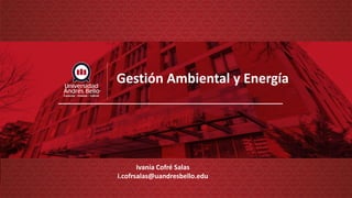Gestión Ambiental y Energía
Ivania Cofré Salas
i.cofrsalas@uandresbello.edu
 