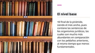 El nivel base
•Al final de la pirámide,
siendo el más ancho, pues
contiene las sentencias de
los organismos jurídicos, las
cuales son mucho más
abundantes en comparación
con los peldaños anteriores,
al mismo tiempo que menos
fundamentales.
 
