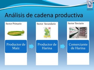Sector TerciarioSector SecundarioSector Primario
Análisis de cadena productiva
Productor de
Maíz
Productor de
Harina
Comerciante
de Harina
 