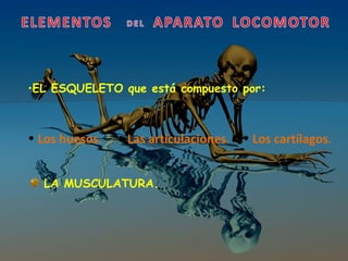 <ul><li>EL   ESQUELETO que está compuesto por: </li></ul><ul><li>Los huesos . </li></ul><ul><li>Los cartílagos . </li></ul...