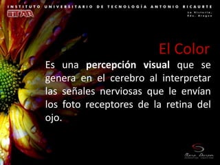 Interpretacion Visual Unidad 3 el color | PPSX