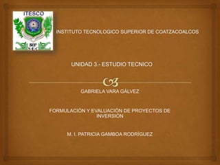 GABRIELA VARA GÁLVEZ


FORMULACIÓN Y EVALUACIÓN DE PROYECTOS DE
                INVERSIÓN


     M. I. PATRICIA GAMBOA RODRÍGUEZ
 