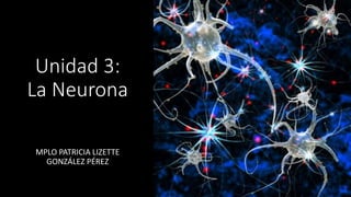 Unidad 3:
La Neurona
MPLO PATRICIA LIZETTE
GONZÁLEZ PÉREZ
 