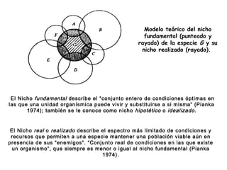 Modelo teórico del nicho
fundamental (punteado y
rayado) de la especie G y su
nicho realizado (rayado).
El Nicho fundamental describe el “conjunto entero de condiciones óptimas en
las que una unidad organísmica puede vivir y substituirse a si misma” (Pianka
1974); también se le conoce como nicho hipotético o idealizado.
El Nicho real o realizado describe el espectro más limitado de condiciones y
recursos que permiten a una especie mantener una población viable aún en
presencia de sus “enemigos”. “Conjunto real de condiciones en las que existe
un organismo”, que siempre es menor o igual al nicho fundamental (Pianka
1974).
 