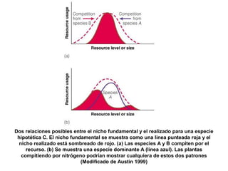 Dos relaciones posibles entre el nicho fundamental y el realizado para una especie
hipotética C. El nicho fundamental se muestra como una línea punteada roja y el
nicho realizado está sombreado de rojo. (a) Las especies A y B compiten por el
recurso. (b) Se muestra una especie dominante A (línea azul). Las plantas
compitiendo por nitrógeno podrían mostrar cualquiera de estos dos patrones
(Modificado de Austin 1999)
 