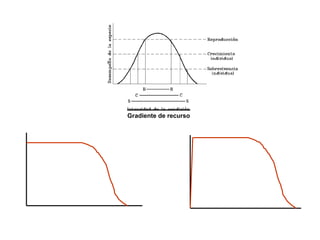 Gradiente de recurso
 