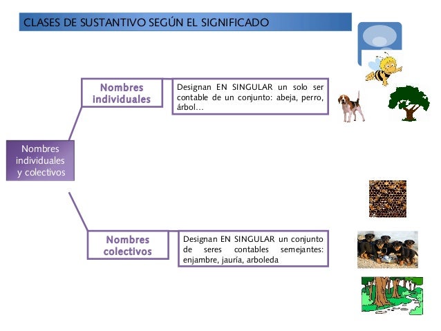 Sustantivo y adjetivo