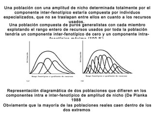Una población compuesta de puros generalistas con cada miembro
explotando el rango entero de recursos usados por toda la población
tendría un componente inter-fenotípico de cero y un componente intra-
fenotípico máximo (100 %).
Representación diagramática de dos poblaciones que difieren en los
componentes intra e inter-fenotípico de amplitud de nicho (De Pianka
1988
Una población con una amplitud de nicho determinada totalmente por el
componente inter-fenotípico estaría compuesta por individuos
especializados, que no se traslapan entre ellos en cuanto a los recursos
usados.
Obviamente que la mayoría de las poblaciones reales caen dentro de los
dos extremos
 