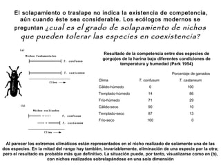 El solapamiento o traslape no indica la existencia de competencia,
aún cuando éste sea considerable. Los ecólogos modernos se
preguntan ¿cual es el grado de solapamiento de nichos
que pueden tolerar las especies en coexistencia?
Porcentaje de ganados
Clima T. confusum T. castaneum
Cálido-húmedo 0 100
Templado-húmedo 14 86
Frío-húmedo 71 29
Cálido-seco 90 10
Templado-seco 87 13
Frío-seco 100 0
Resultado de la competencia entre dos especies de
gorgojos de la harina bajo diferentes condiciones de
temperatura y humedad (Park 1954)
Al parecer los extremos climáticos están representados en el nicho realizado de solamente una de las
dos especies. En la mitad del rango hay también, invariablemente, eliminación de una especie por la otra;
pero el resultado es probable más que definitivo. La situación puede, por tanto, visualizarse como en (b),
con nichos realizados sobrelapándose en una sola dimensión
 