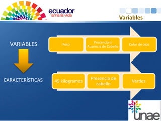 VARIABLES Peso 
Color de ojos 
Presencia o 
Ausencia de Cabello 
CARACTERÍSTICAS 45 kilogramos 
Verdes 
Presencia de 
cabello 
Variables 
 